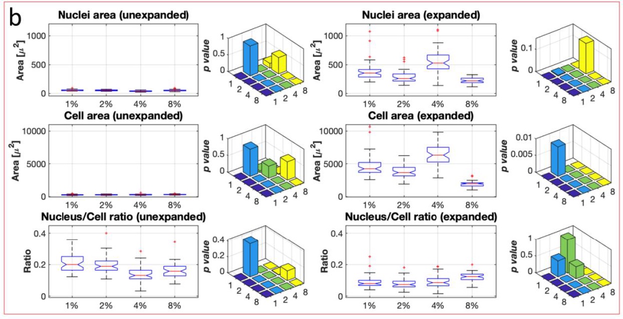 complexity of skeletal muscle cells graphs and diagrams